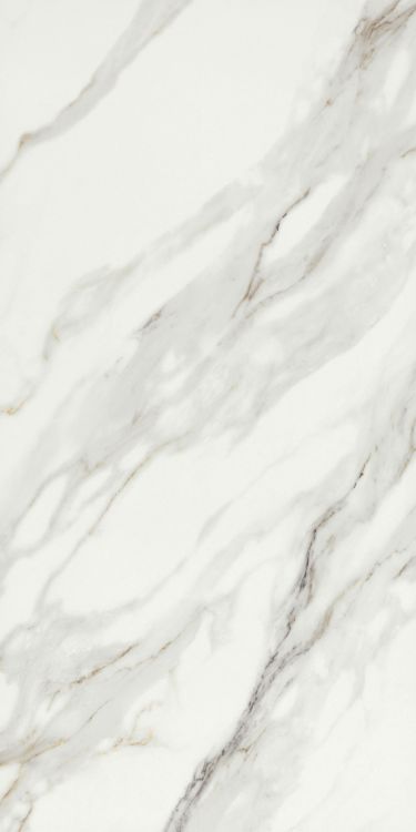 Marmi Macchiavecchia Levigato 24 x 48